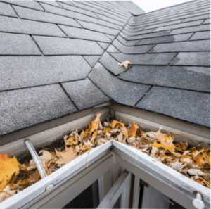 Ottawa Roof Repair Service