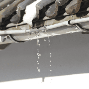 Ottawa roof leak services
